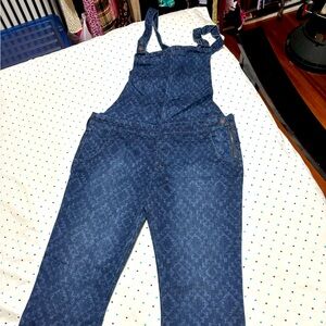 Hollister Denim Overalls